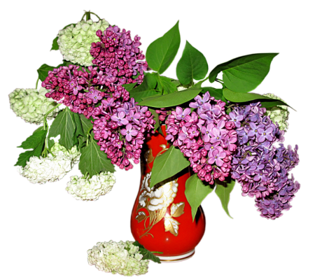 Букет сирени