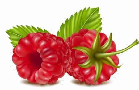 Малина векторный клипарт