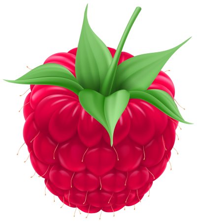 Малина рисунок