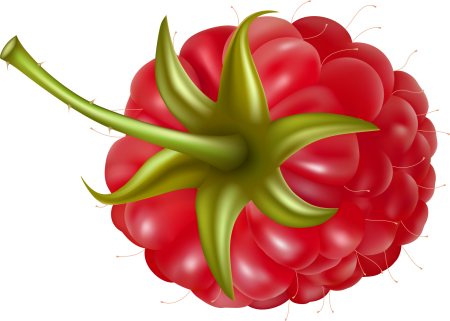 Малина рисунок