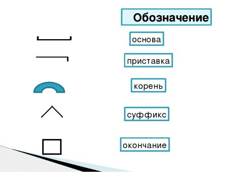 Что такое корень приставка суффикс окончание основа