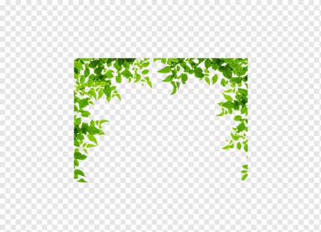 Рамка из зелени