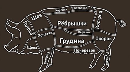 Схема разруба туши свинины