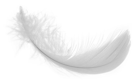 Пух без фона