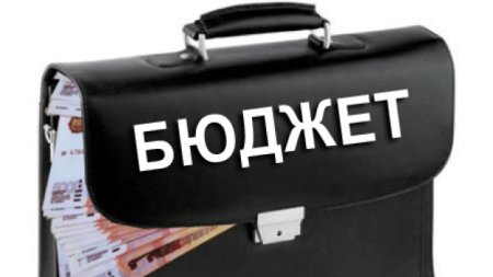 Бюджет портфель
