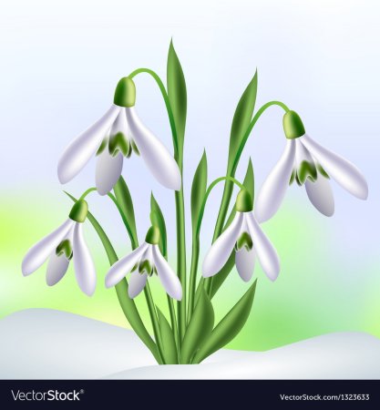 Подснежник для детей детсада