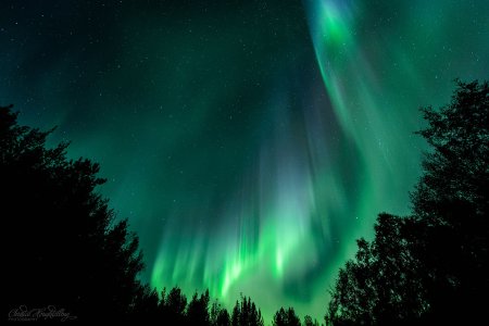 Северное сияние на прозрачном фоне