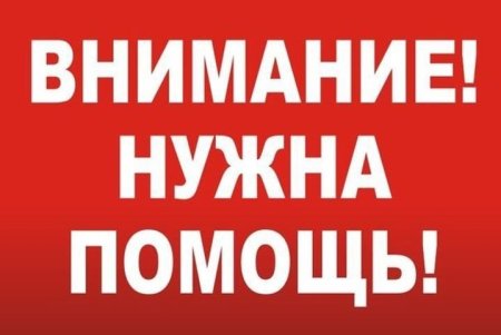 Внимание нужна помощь