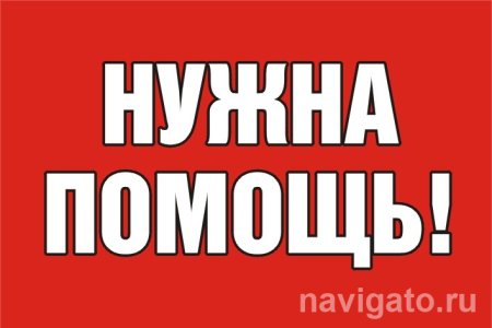 Помощь котикам