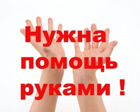 Нужна ваша помощь