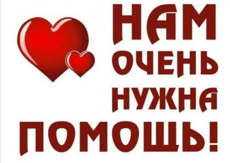 Кнопка нужна помощь