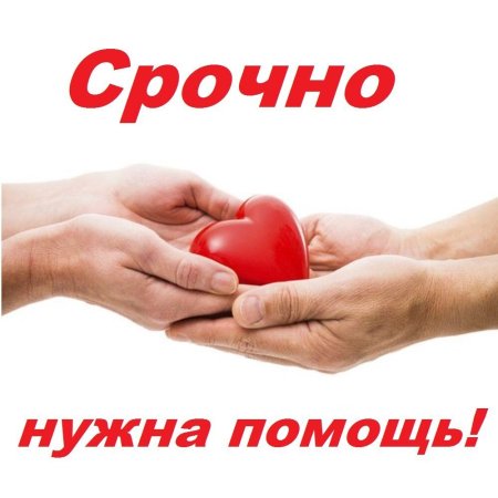 Нужна помощь картинка