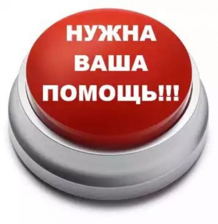 Собаке нужна помощь