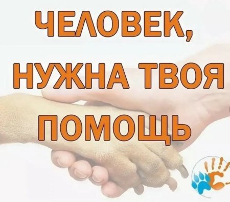Нужна помощь