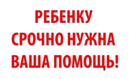 Нужна помощь животным