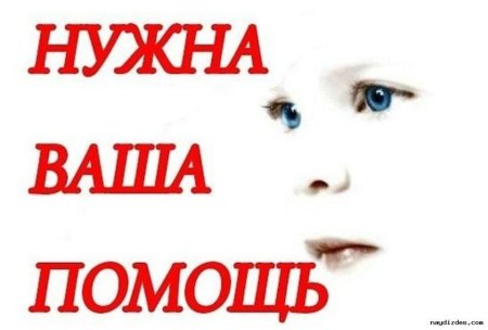 Нужна помощь машиной для собаки
