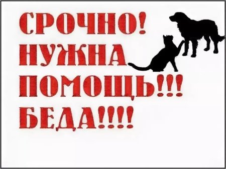 Сбор на корм