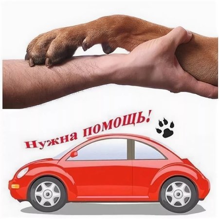 Прошу помощи