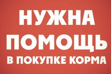 Нужна ваша помощь