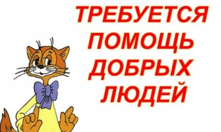 Акция помощи животным