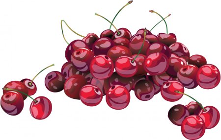 Ежевика для детей
