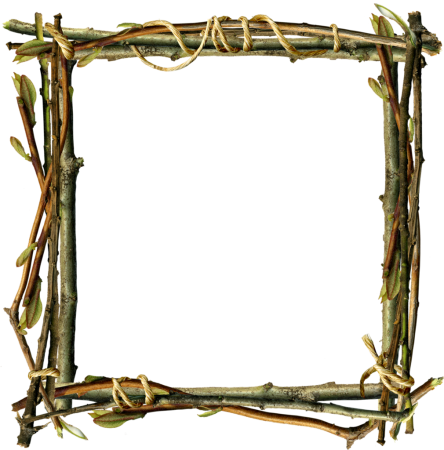 Рамка из веточек деревьев