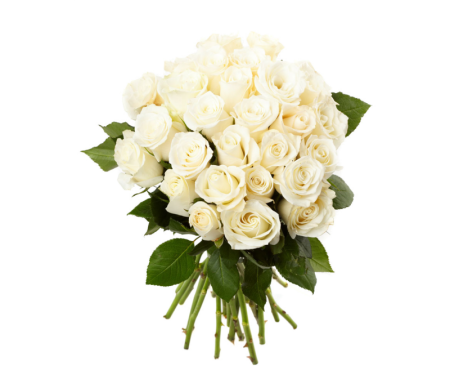 Букет белых роз на прозрачном фоне