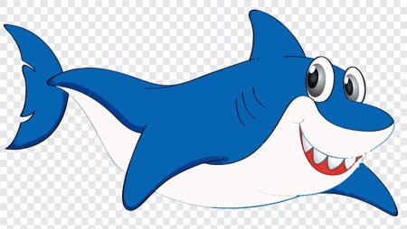 Акула иллюстрация