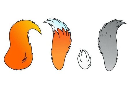 Хвосты животных для детей