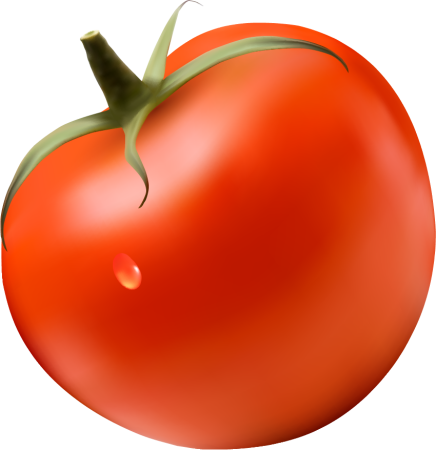 Помидор svg