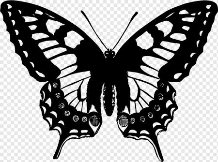 Клипарт бабочка черно белая (50 фото)