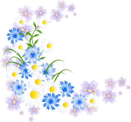 Рамка полевые цветы