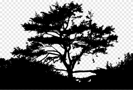 Клипарт черно белый лес (48 фото)
