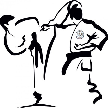 Боевые искусства силуэт