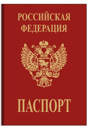 Обложка для паспорта "Россия"