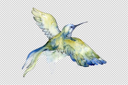 Акварельные птицы на прозрачном фоне