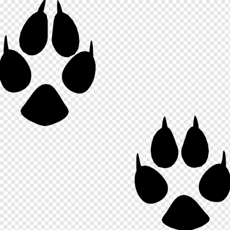 Лисьи следы