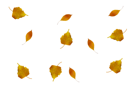 Осенние листья летят клипарт (49 фото)