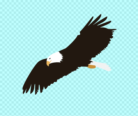 Flying Eagle vector