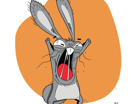 Чокнутый заяц