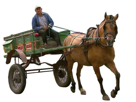 Повозка с лошадью