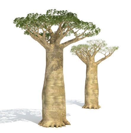Африка дерево клипарт (48 фото)