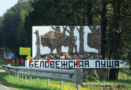 Парк Беловежская пуща символ