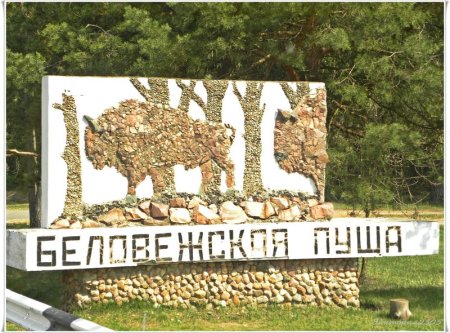 Беловежская пуща надпись