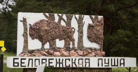 Парк Беловежская пуща