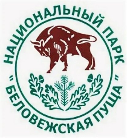 Национальный заповедник Беловежская пуща