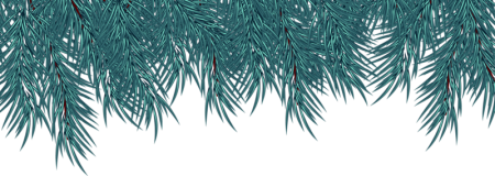 Еловые ветки на прозрачном фоне