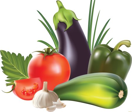 Клипарт овощи на прозрачном фоне для детей