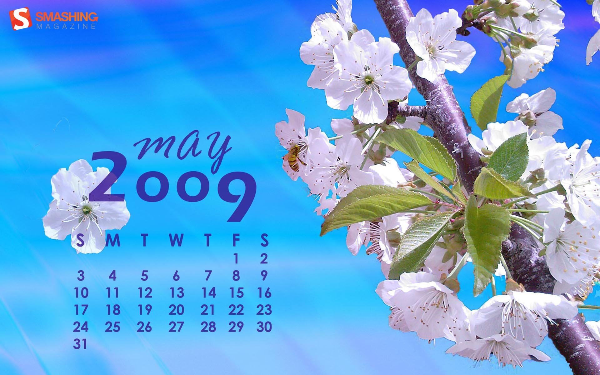 Открой календарь на май месяц. Календарь. Календарь картинка. Красивые картинки для календаря.