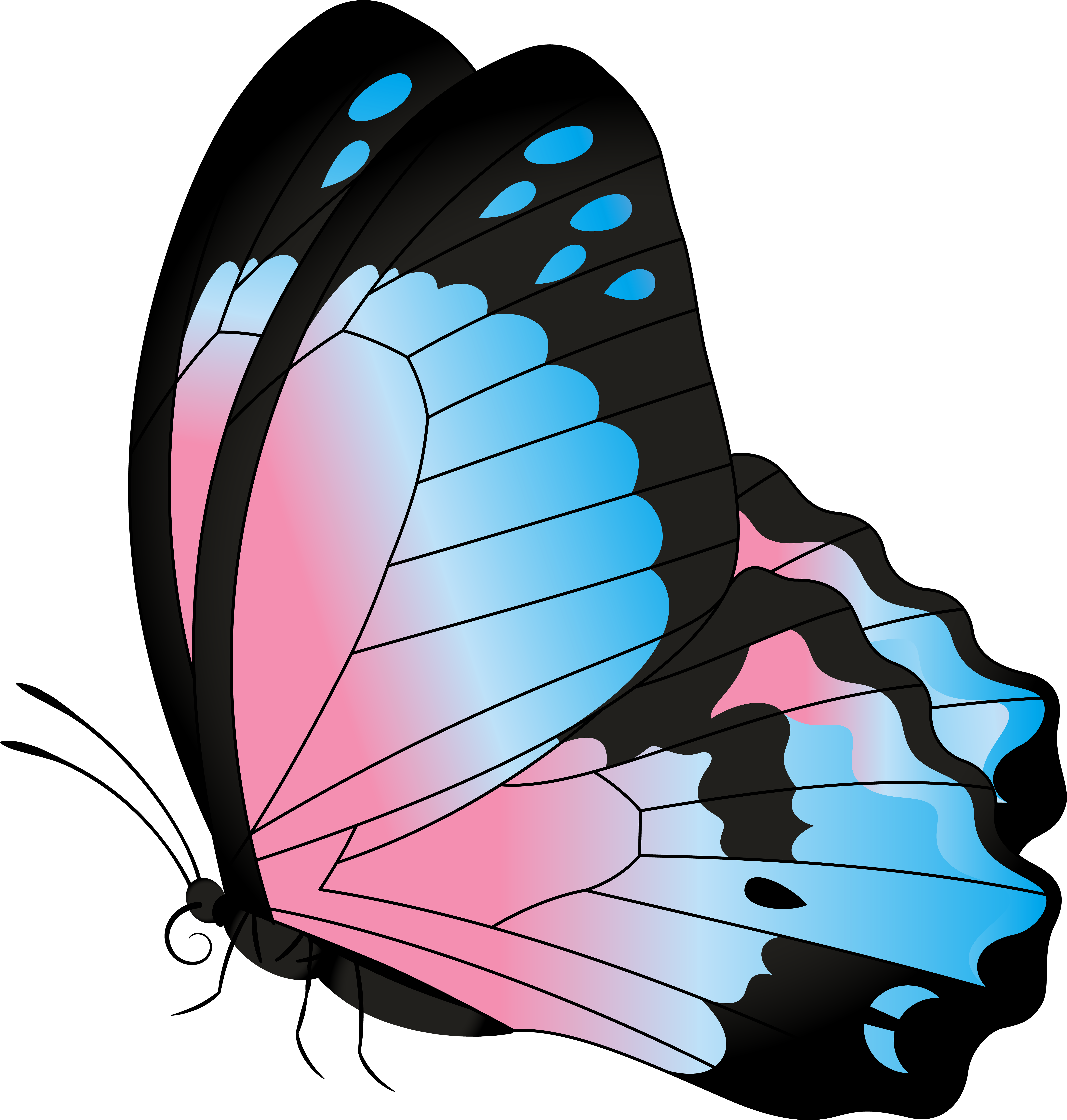 Прозрачная бабочка пнг. Бабочки картинки. Бабочка рисунок. Розовые бабочки. Красивые бабочки на белом фоне.